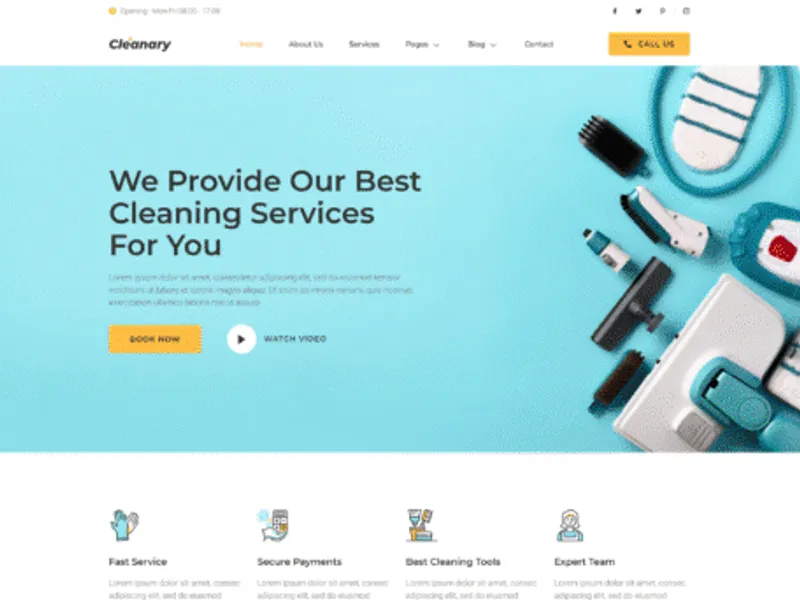 Cleanary website screenshot